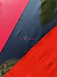 Charol  - Miniatura 3