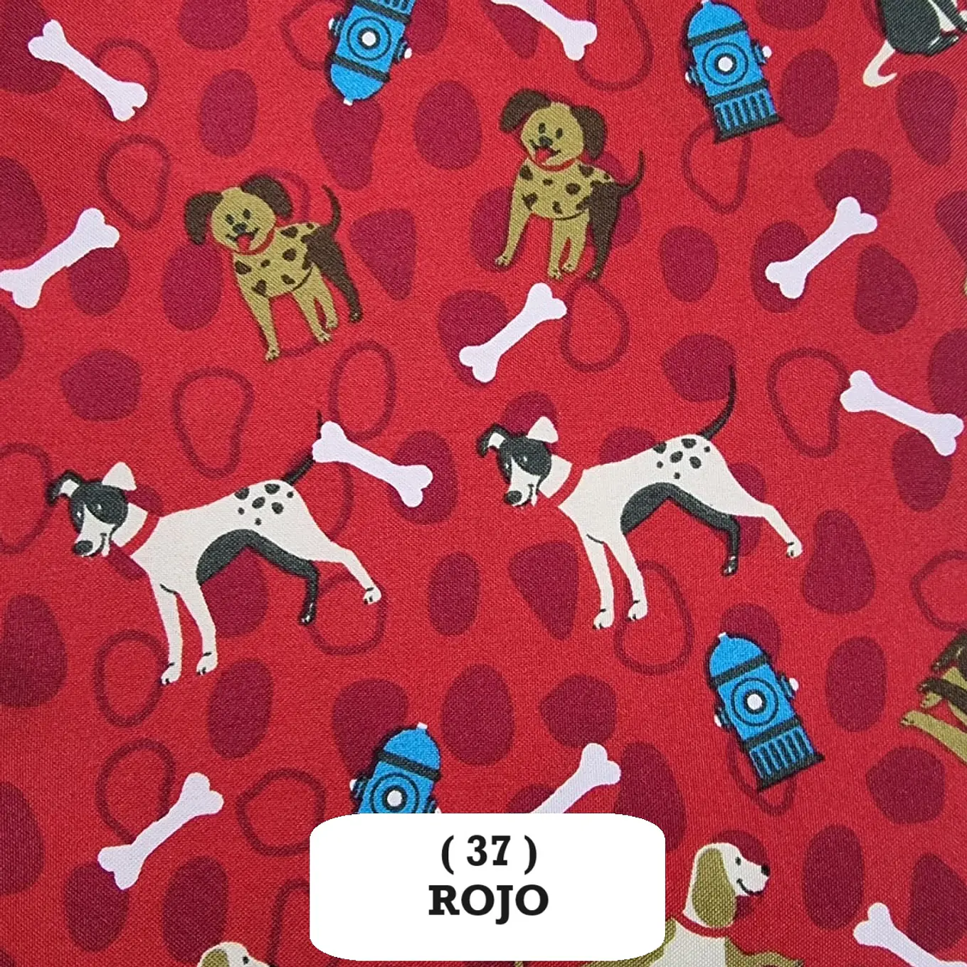 Biestrech Animales  10