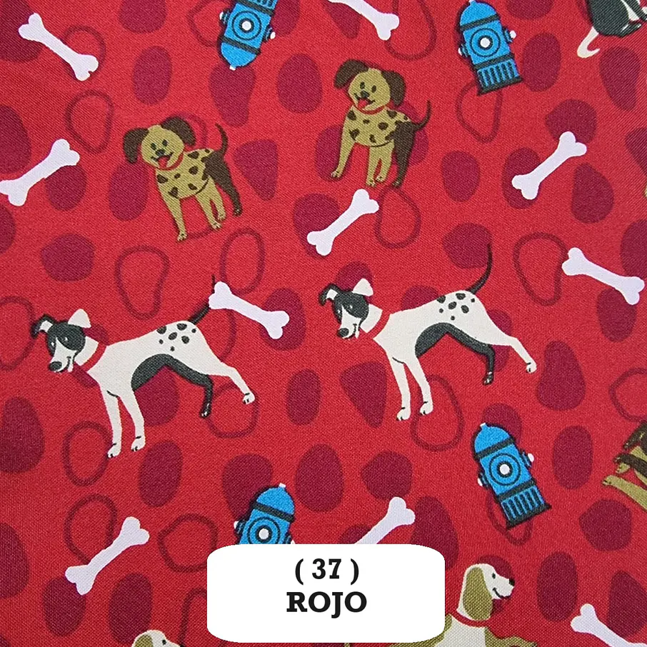 Biestrech Animales  10