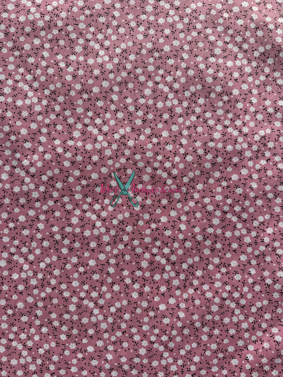 Popelina  10