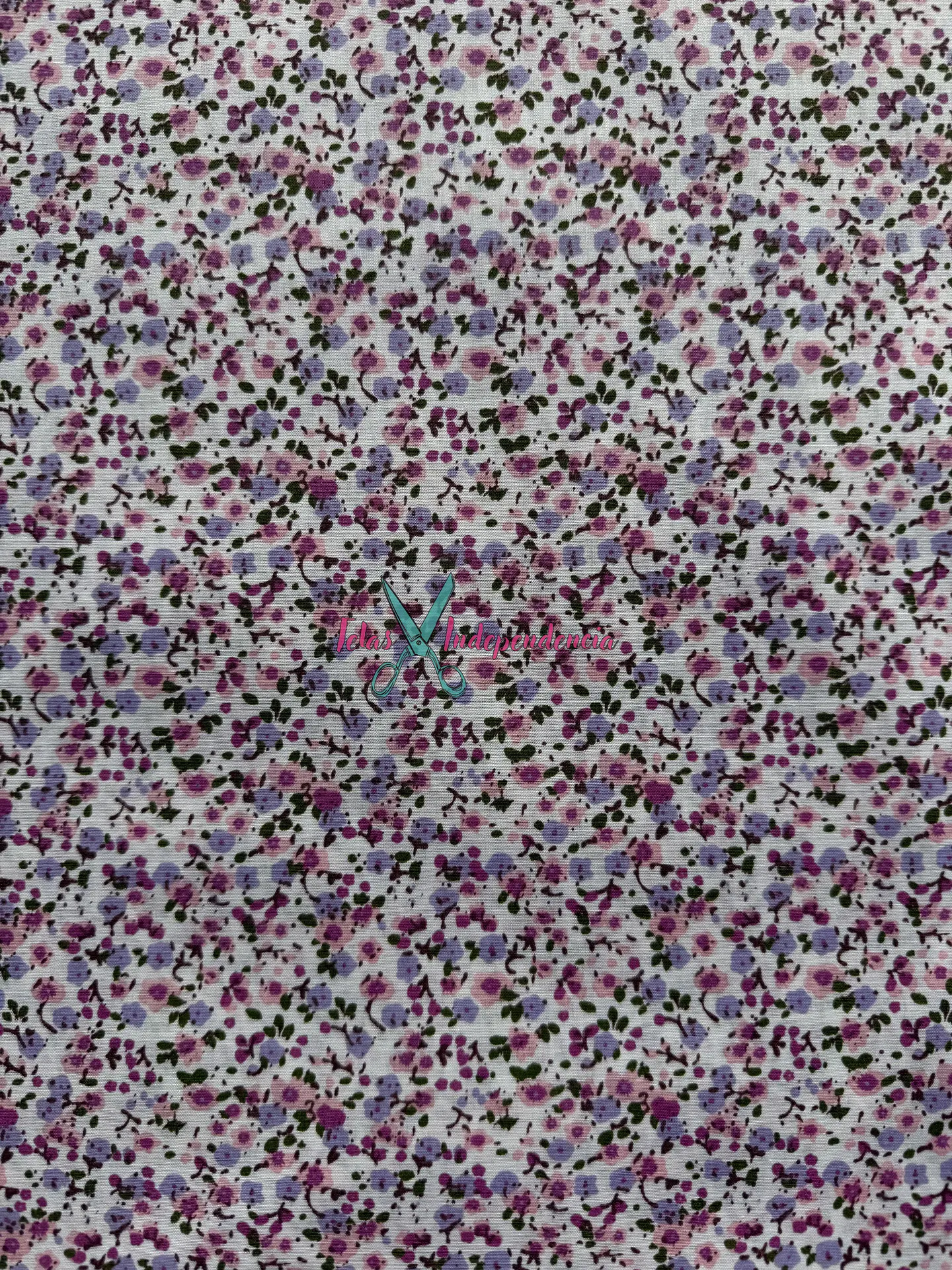 Popelina  8