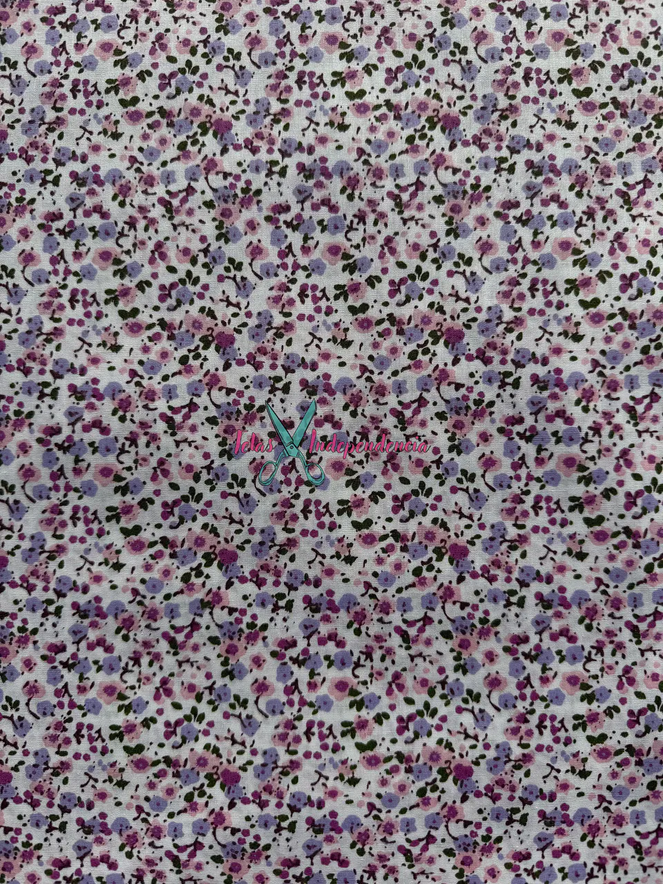 Popelina  8