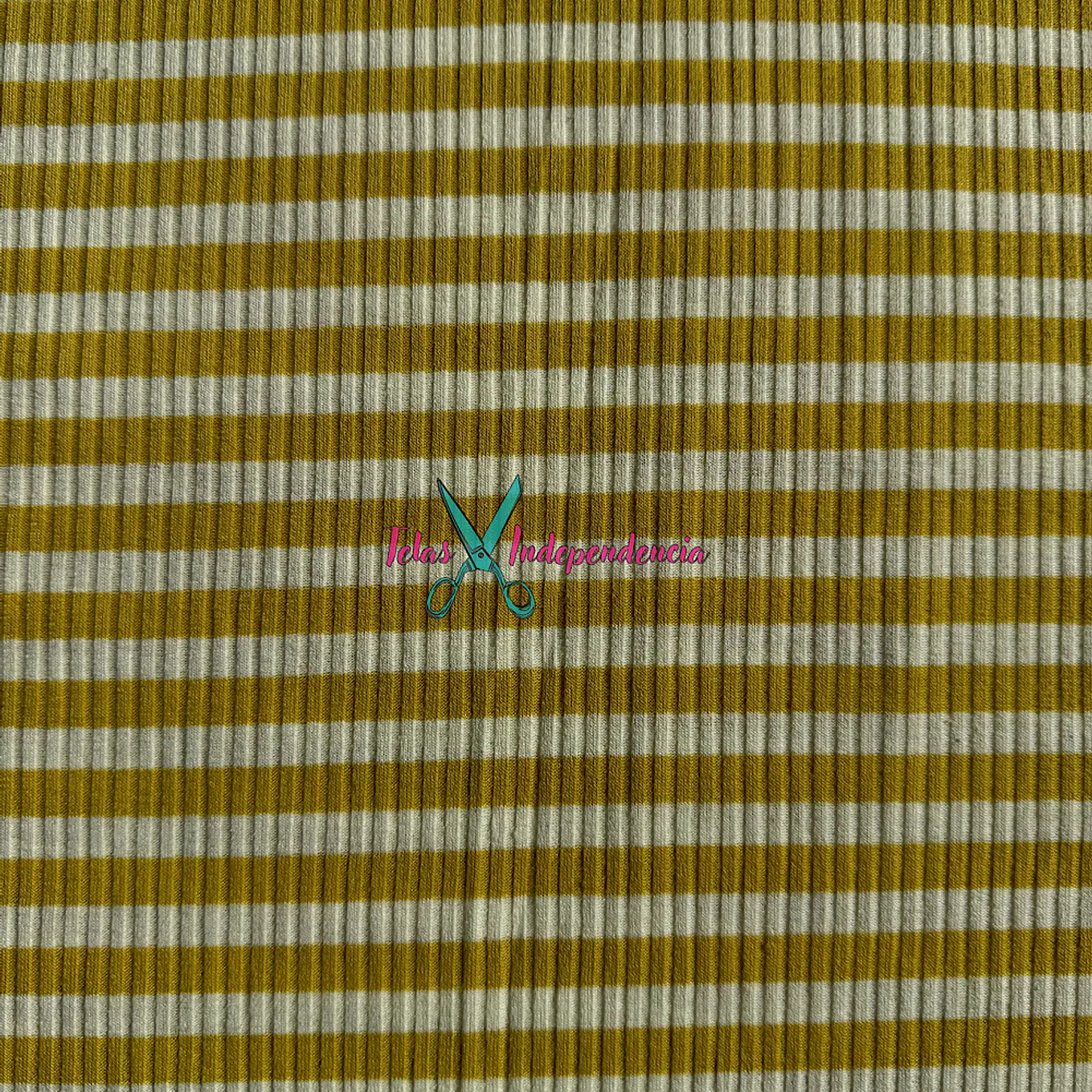 Canuton Mini Lineas 6