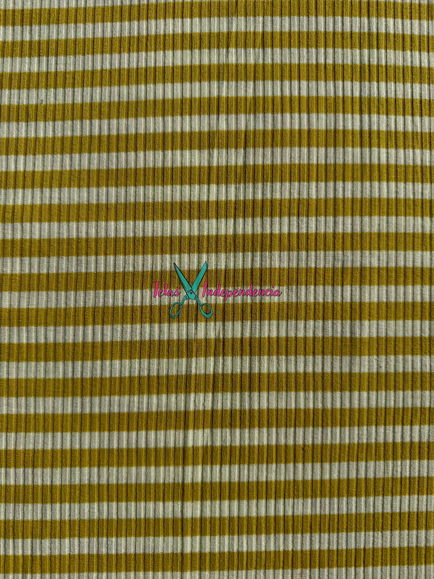 Canuton Mini Lineas 6