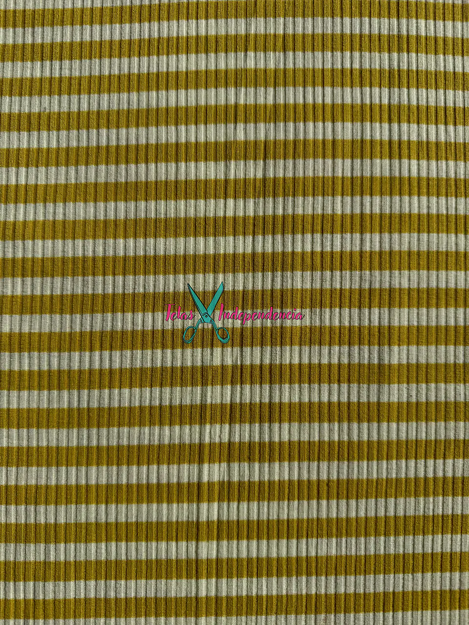 Canuton Mini Lineas 6