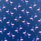 Lycra Dupont  - Miniatura 6