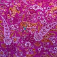 Lycra Dupont  - Miniatura 7