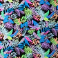 Lycra Dupont  - Miniatura 18