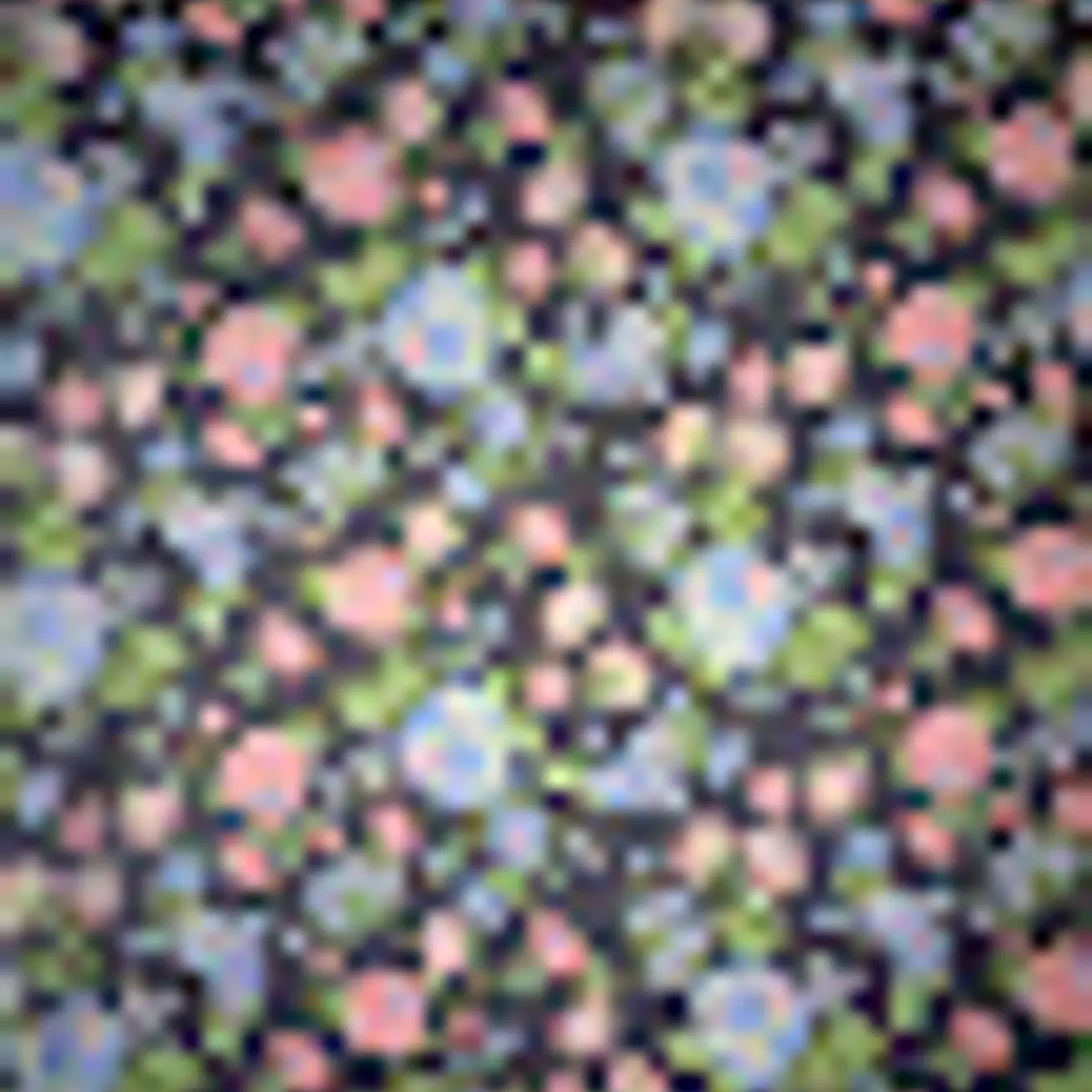 Lycra Dupont Flores 7