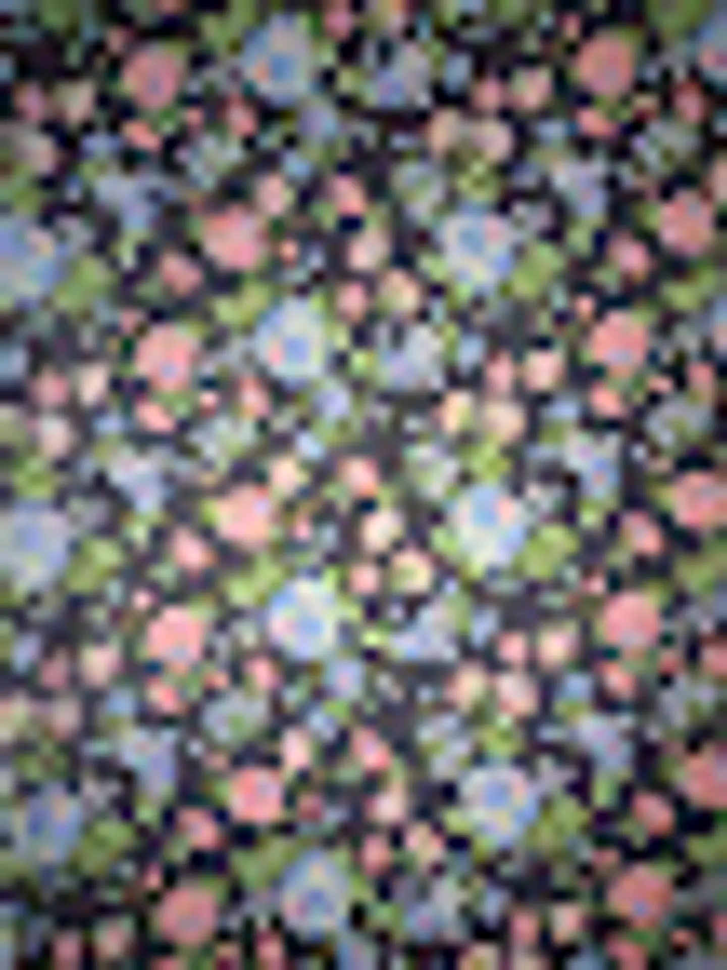 Lycra Dupont Flores 7