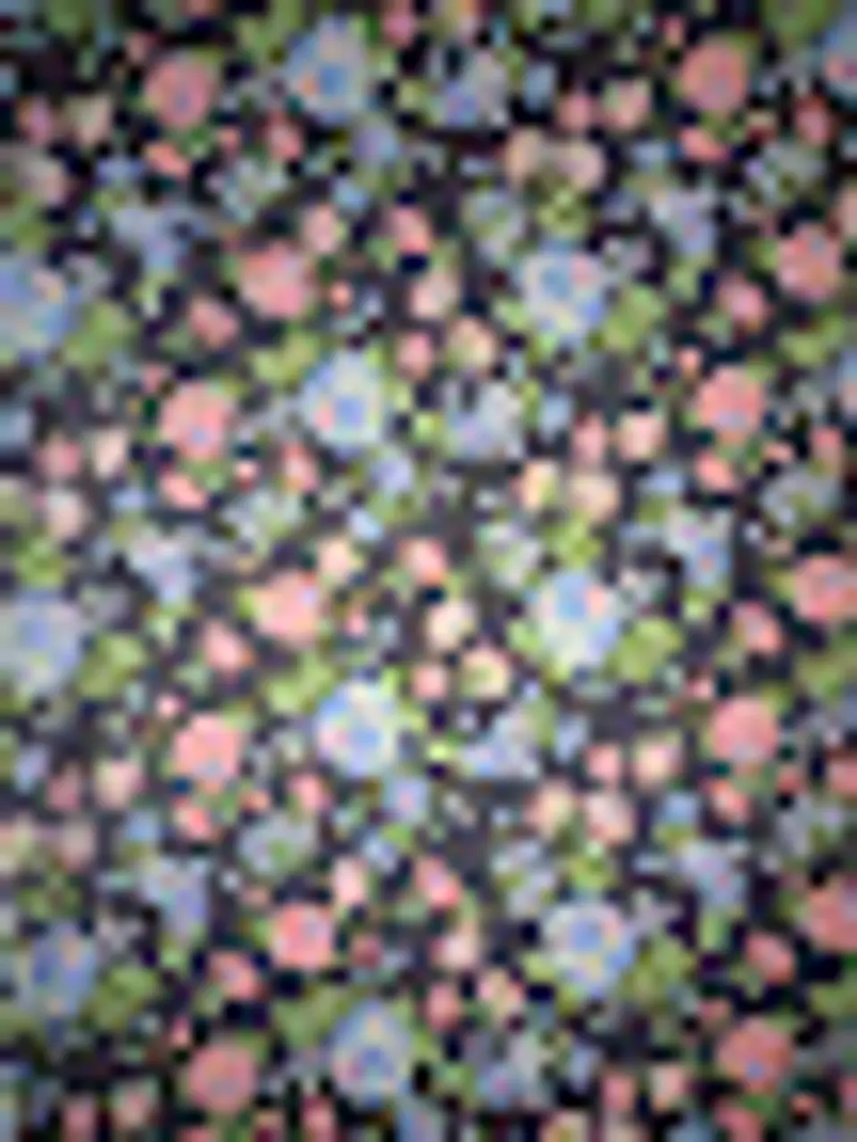 Lycra Dupont Flores 7