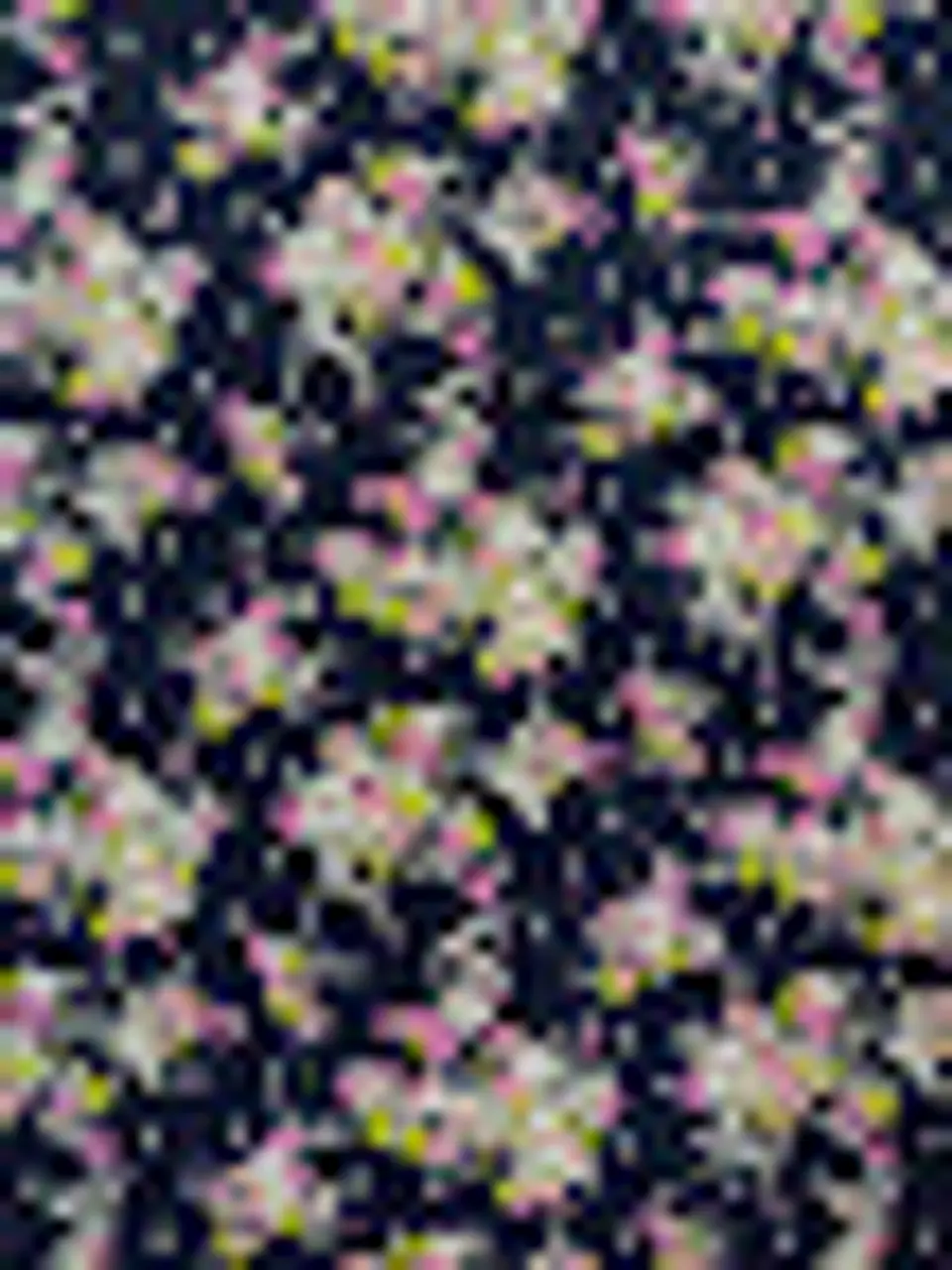 Lycra Dupont Flores 8