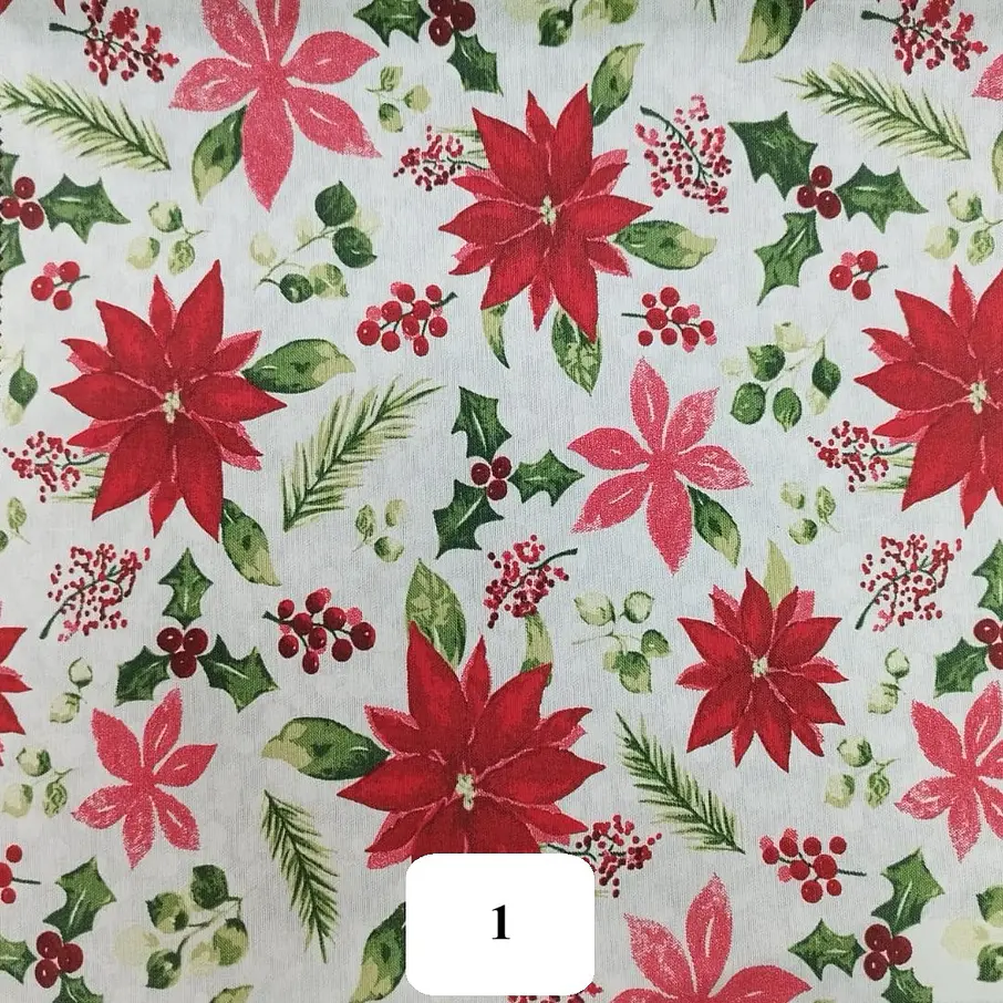 Lona Navidad 1