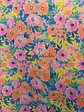 Lycra dupont  - Miniatura 12