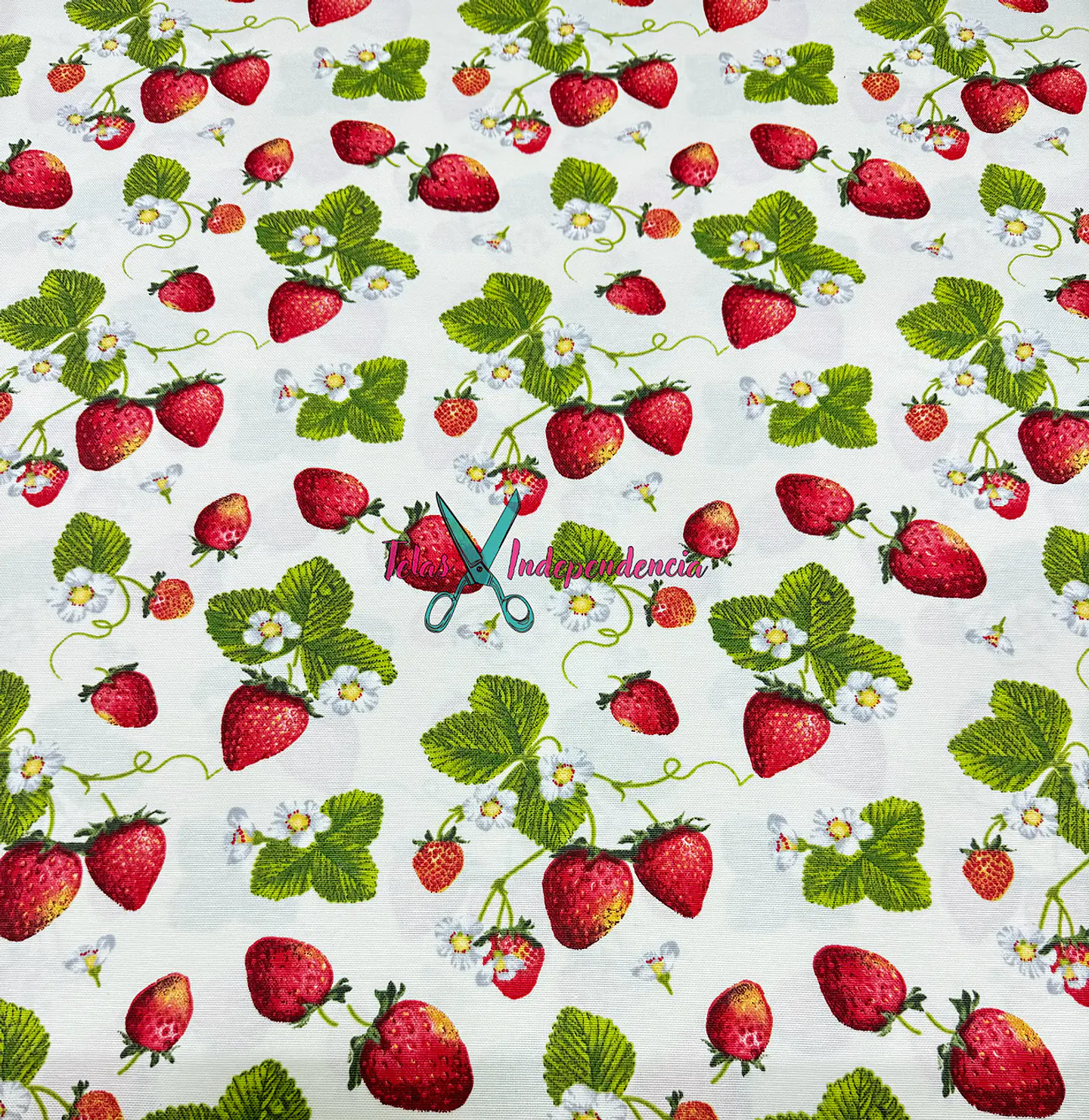 Lona Turca Fruta 4