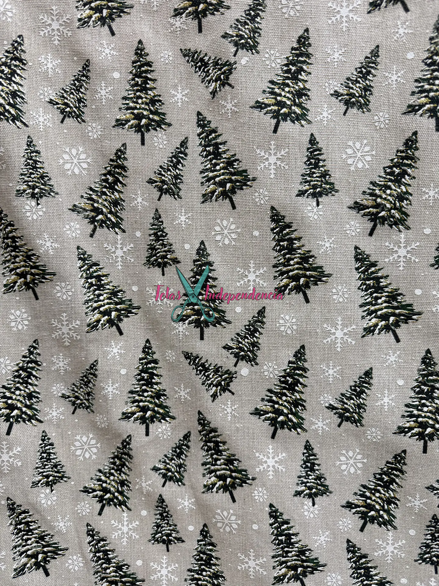Linette  Navidad 8