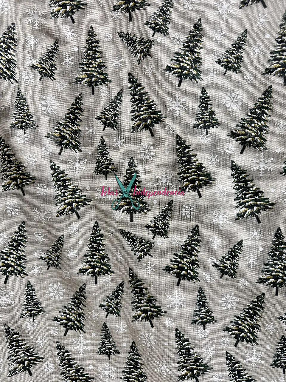 Linette  Navidad 8