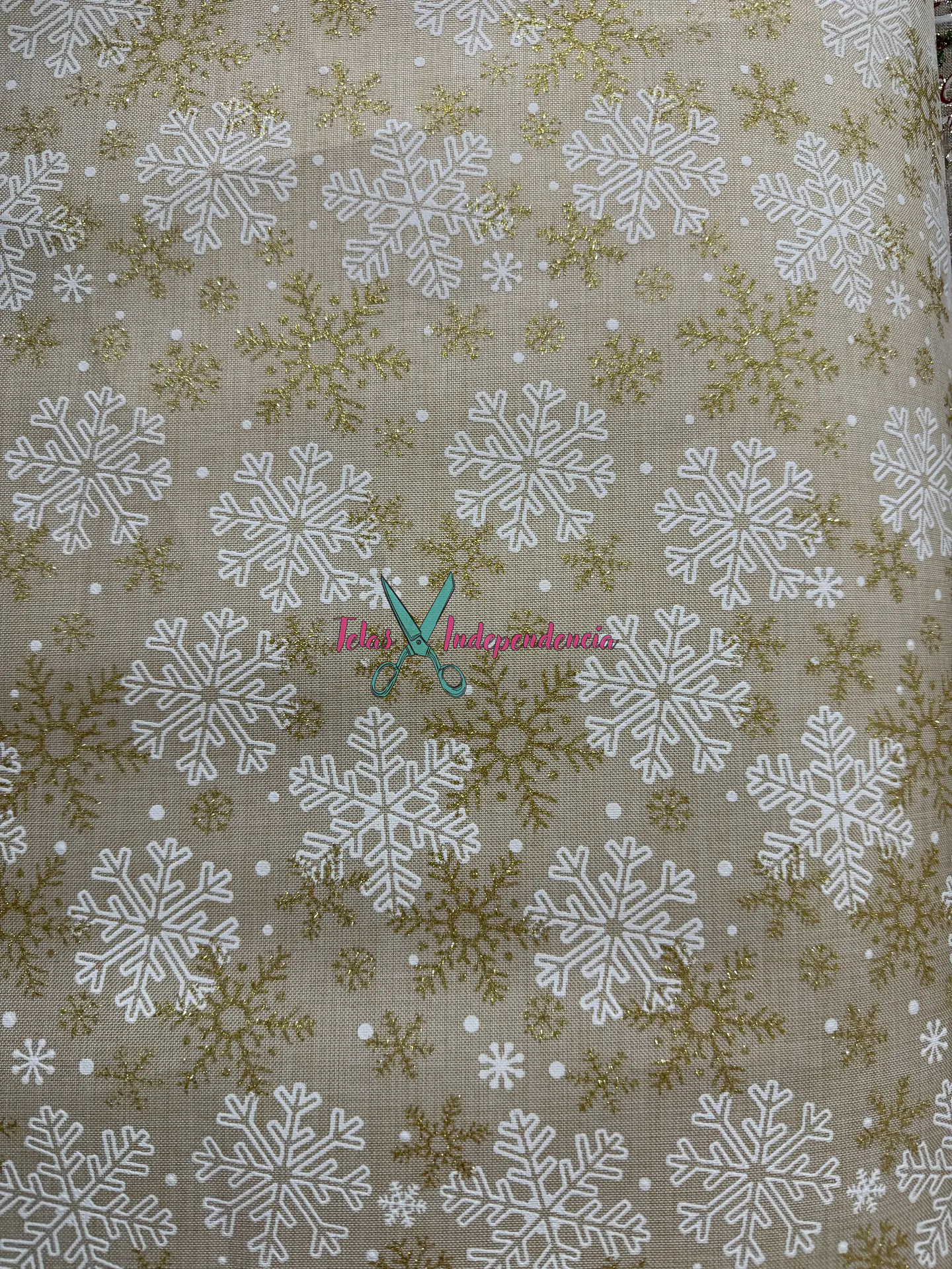Linette  Navidad 10