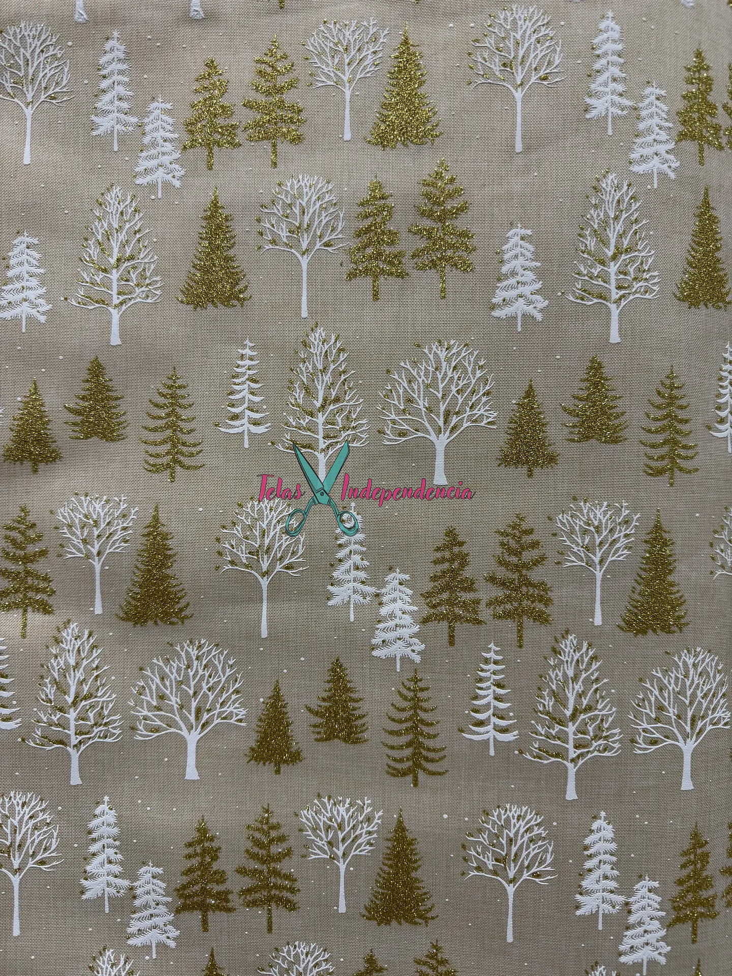 Linette  Navidad 11