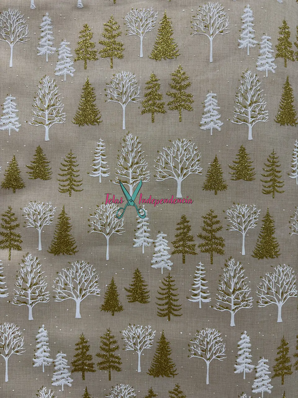 Linette  Navidad 11
