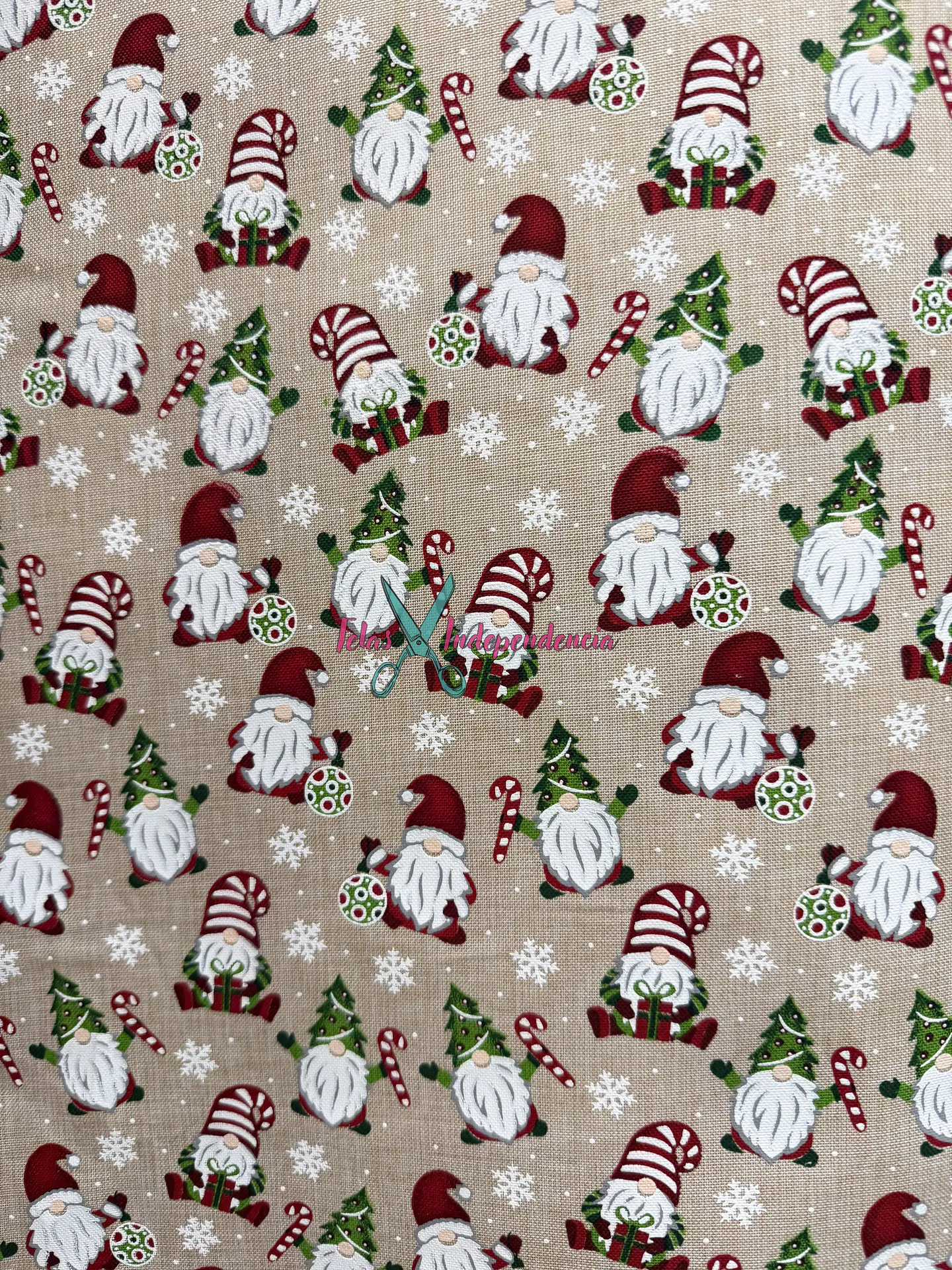 Linette  Navidad 14