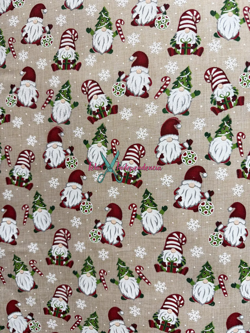 Linette  Navidad 14