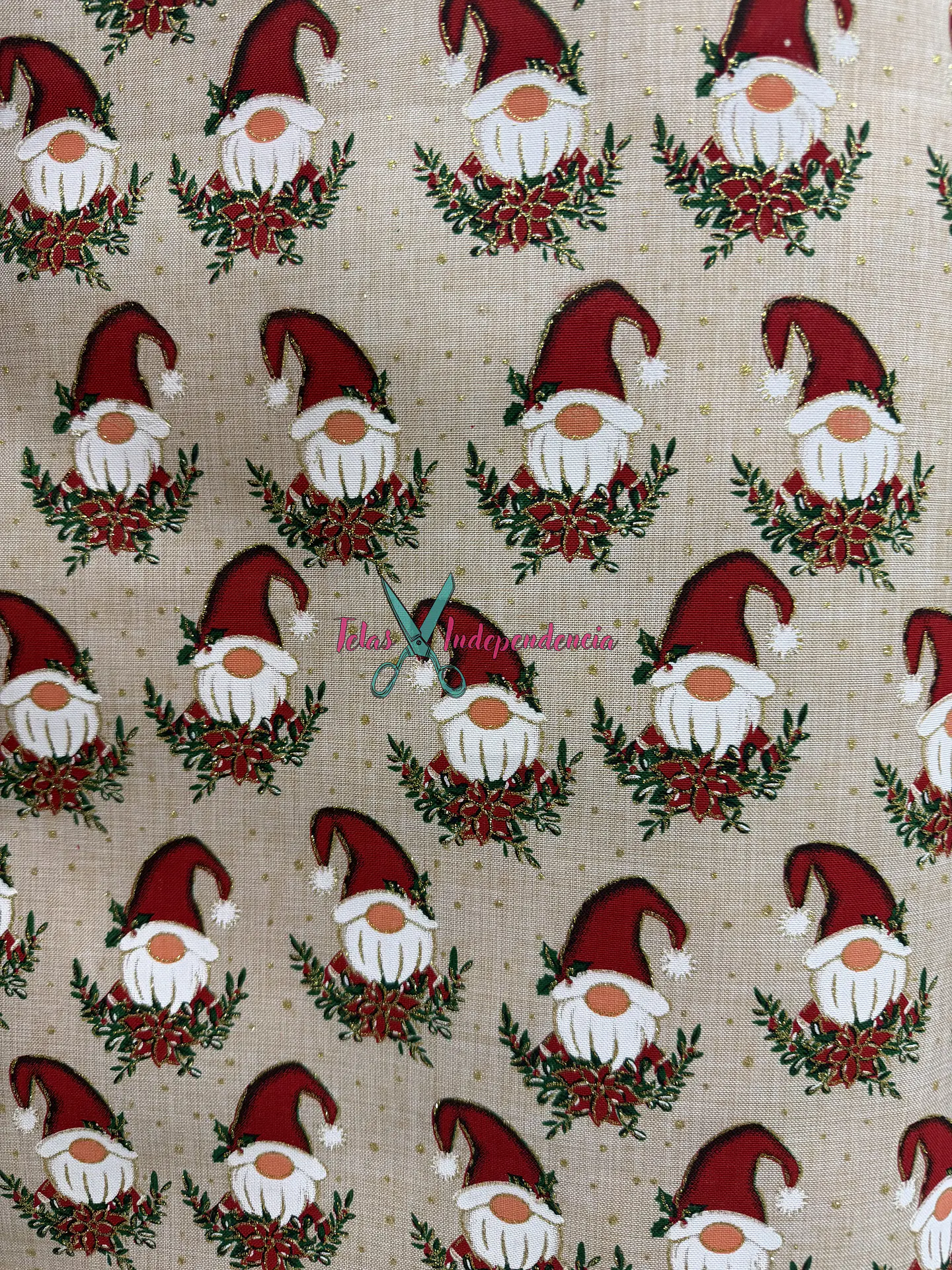 Linette  Navidad 16