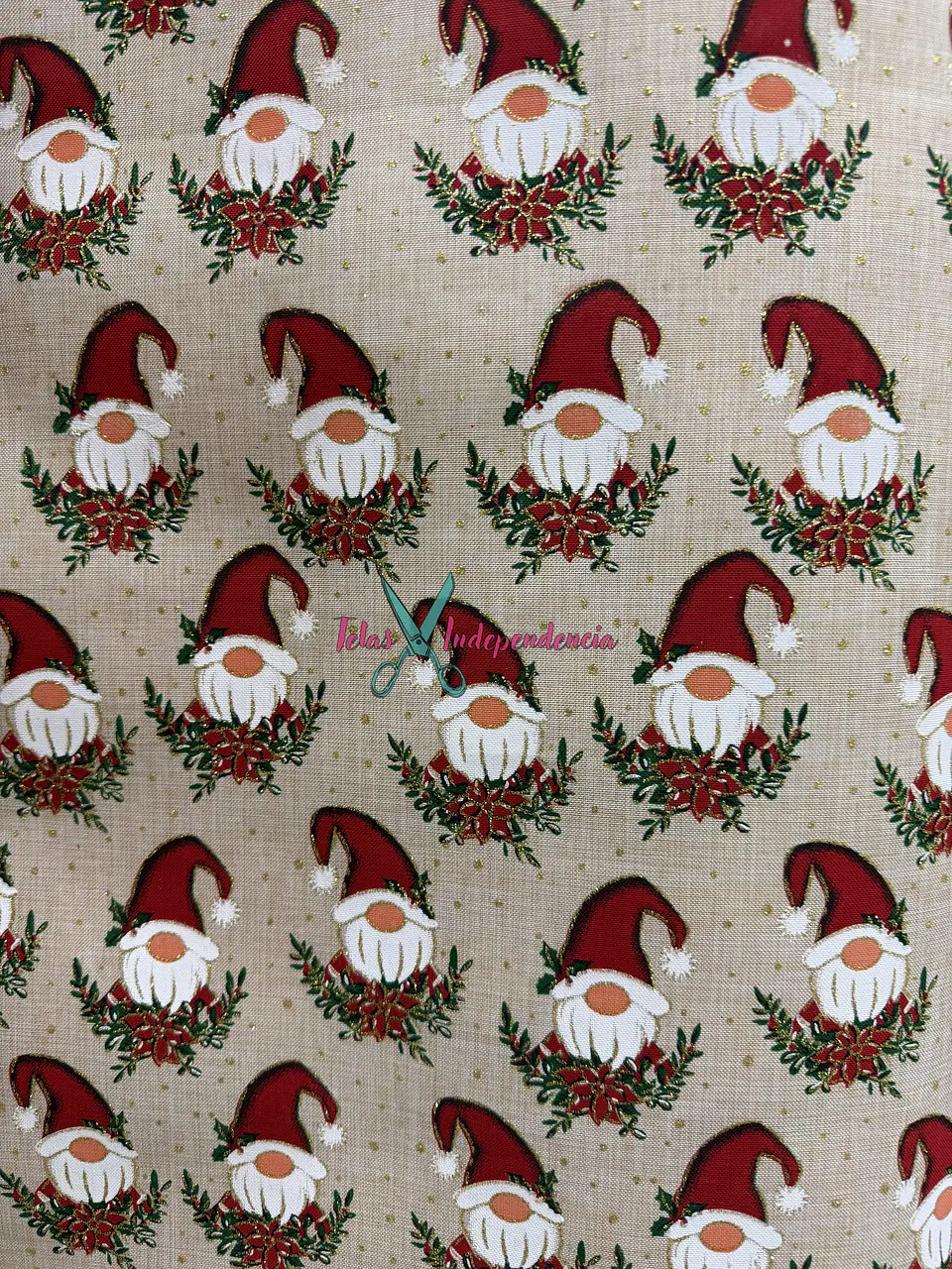 Linette  Navidad 16