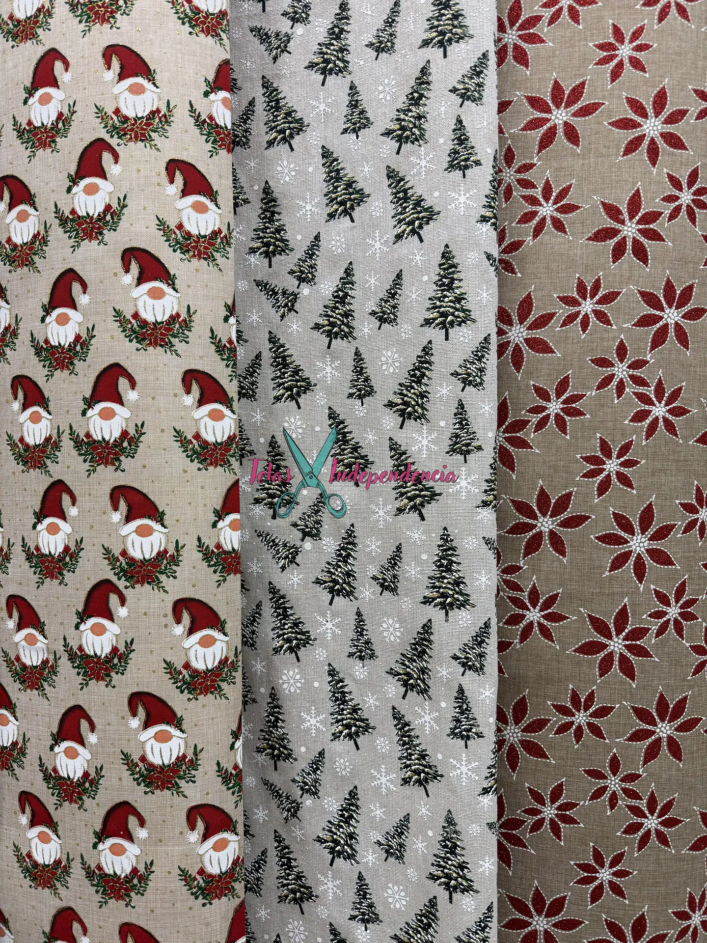 Linette  Navidad 1