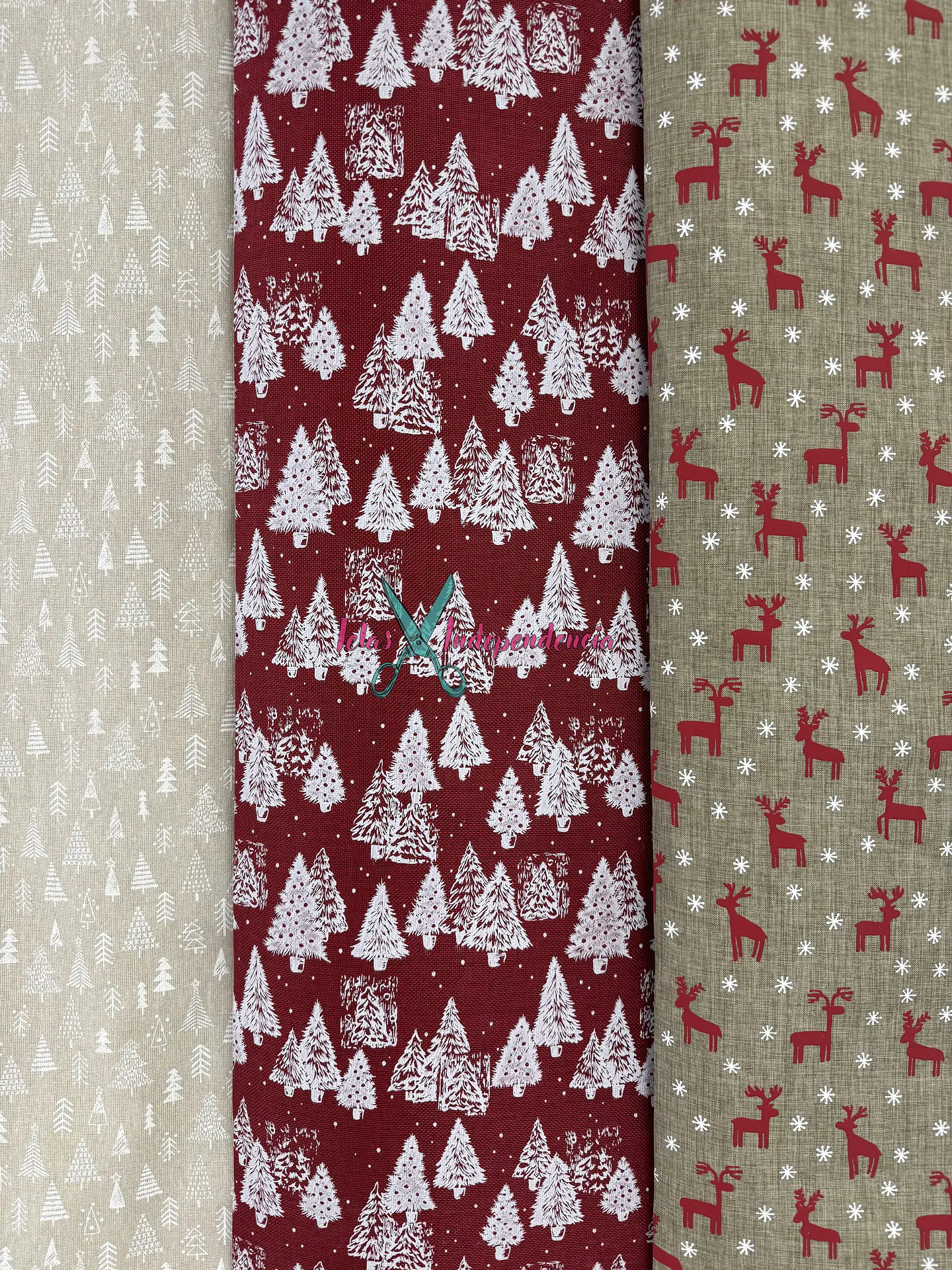 Linette  Navidad 5