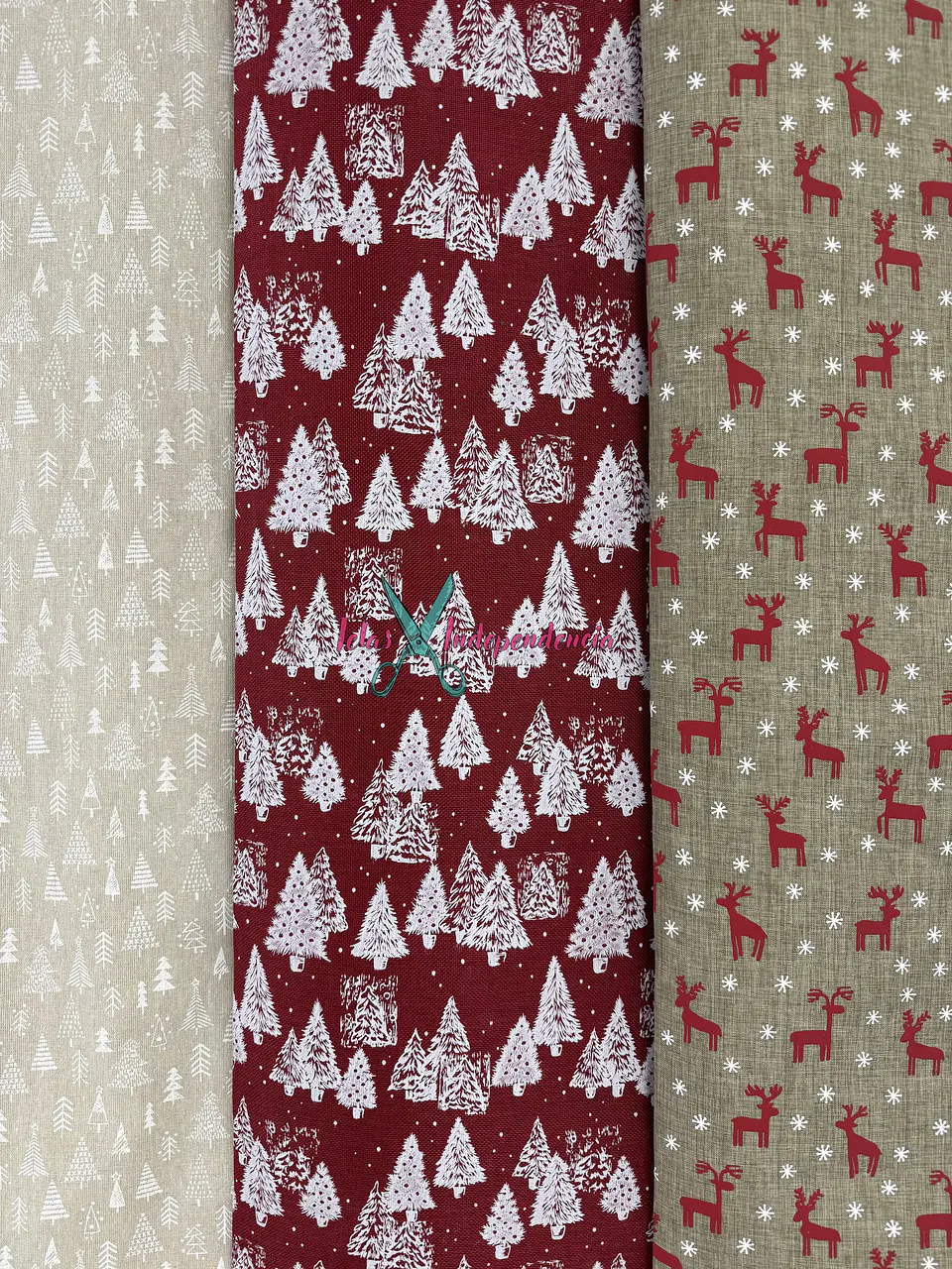 Linette  Navidad 5