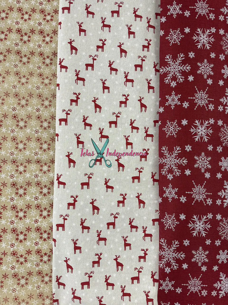 Linette  Navidad 6
