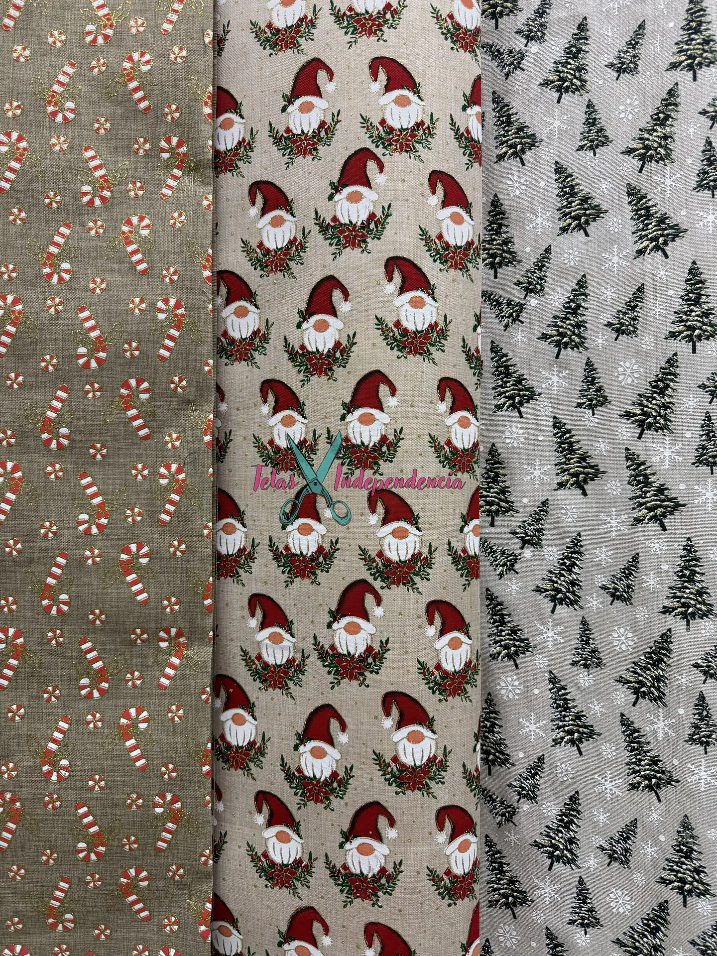 Linette  Navidad 7