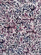 Lycra Fria Diseño - Miniatura 6