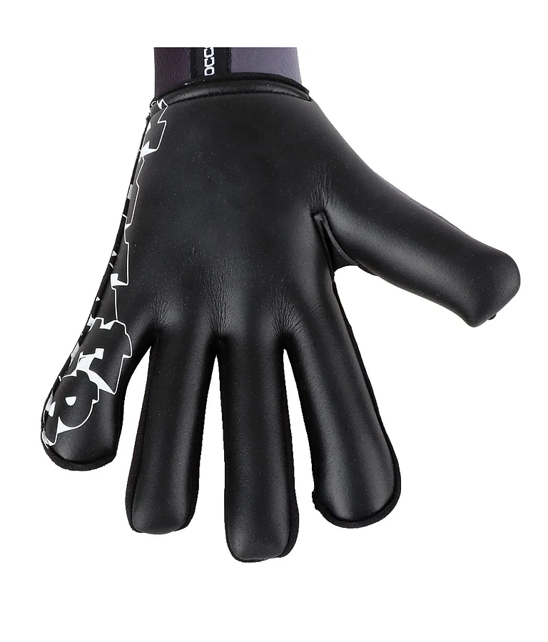 Evolution Graffiti RN