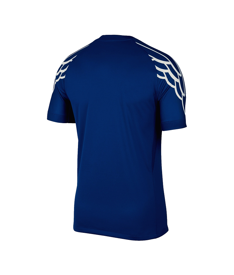 Camisa Equipación 4 Jordan París SG 2024-25