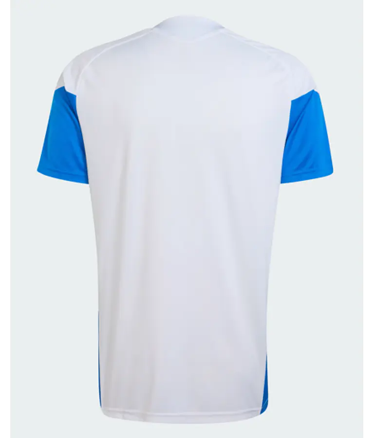 Camiseta Entrenamiento Oficial Selección Colombia
