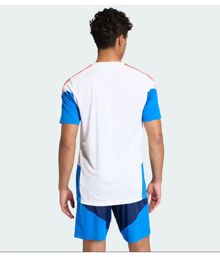 Camiseta Entrenamiento Oficial Selección Colombia