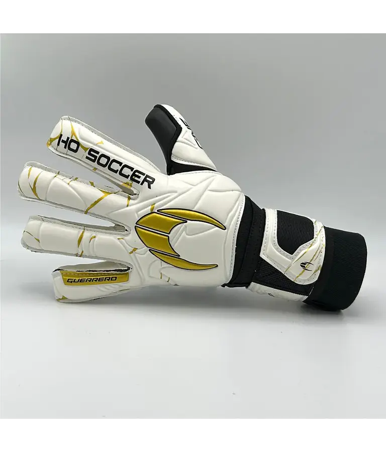 Ho Soccer Guerrero One NG Golden Team