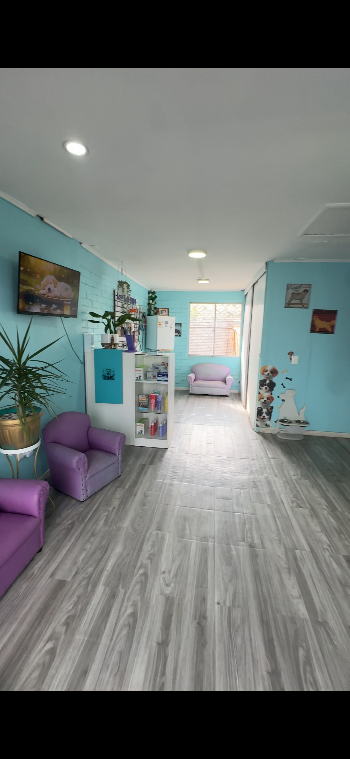[RE]IMAGINA TU NEGOCIO T1, E5 · Estilo Mimi Spa & Vet
