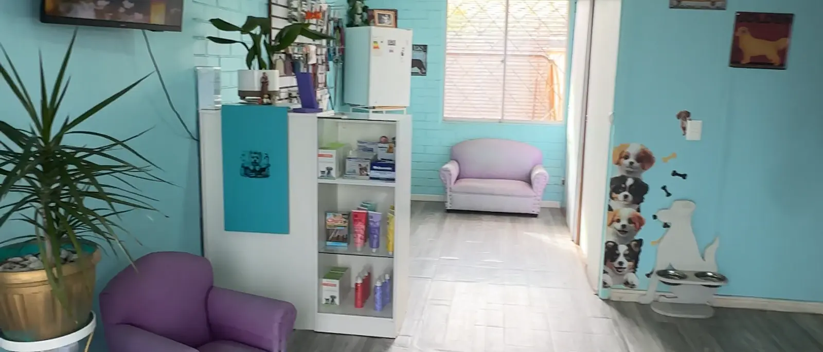 [RE]IMAGINA TU NEGOCIO T1, E5 · Estilo Mimi Spa & Vet