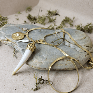 Colar Chifre com Cristal