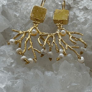 Brincos Aura Selvagem  