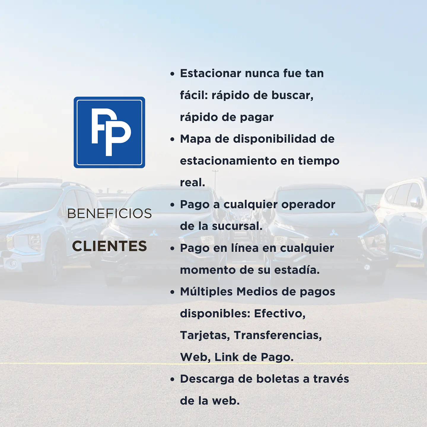 POS Parking Sistema Digital de Gestión de Estacionamientos 5