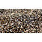 Quinoa negra 500gr Positiv 2