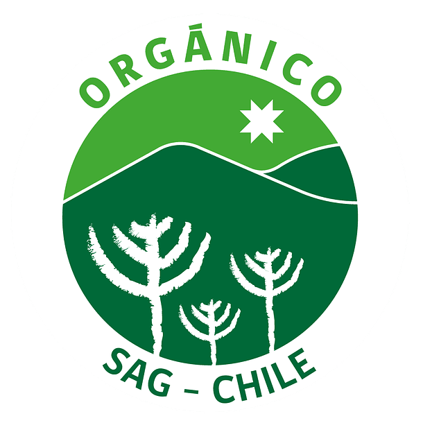 Salsa de soya Orgánica 150ml Manare 4