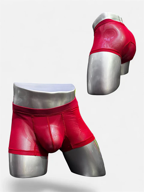 boxer clasico fantasia