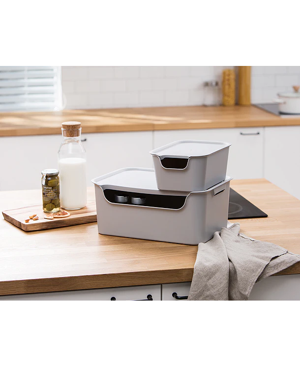 Caja Almacenamiento EL S Gris Claro