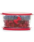 Conservador de Berries - Image 3