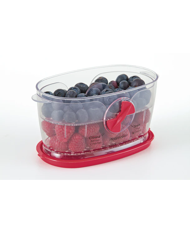 Conservador de Berries